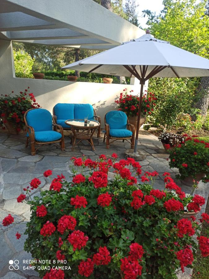 Sani Villa Maria Bagian luar foto